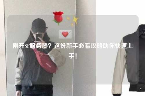 剛開(kāi)SF服務(wù)器？這份新手必看攻略助你快速上手！